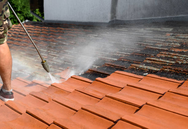 Best Commercial Building Pressure Washing  in Mclendon Chisholm, TX