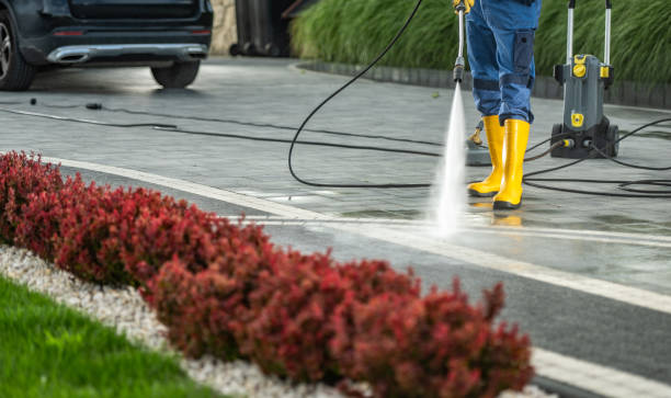Best Pressure Washing Near Me  in Mclendon Chisholm, TX
